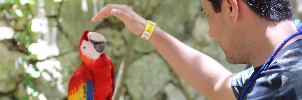 LachoTV's profile banner image