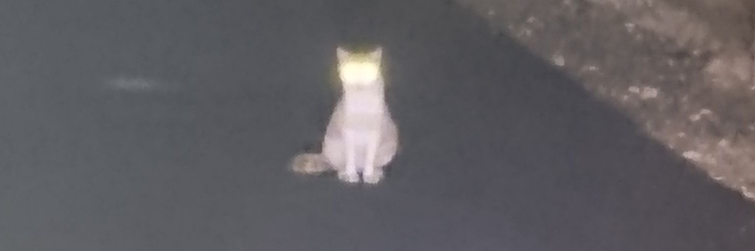 holigotatu's profile banner image