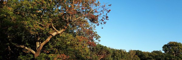 CroydonEsther Profile Banner