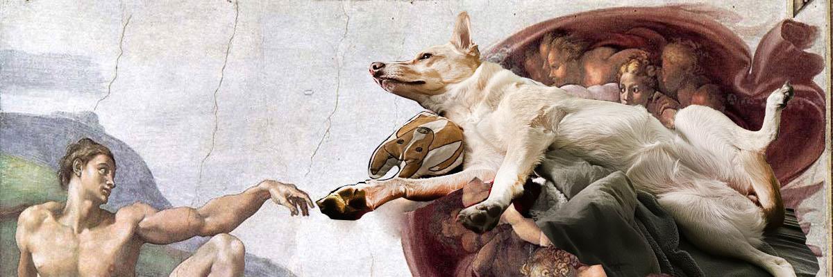 StefANTIFA69's profile banner image