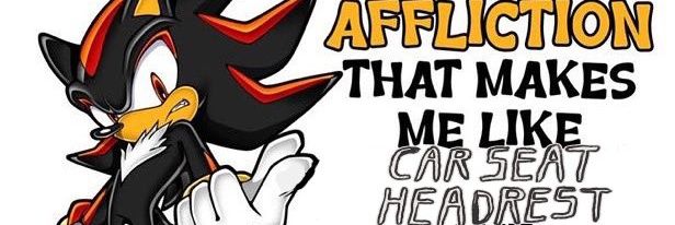 pru's banner