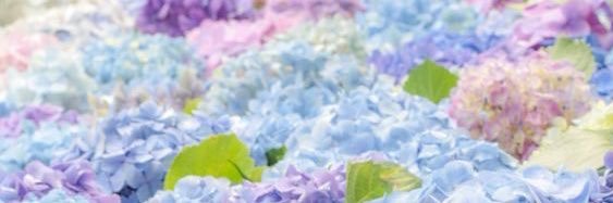 αηρя☾❥ banner