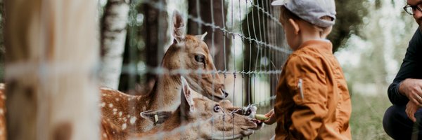 BestKidsDaysOut Profile Banner