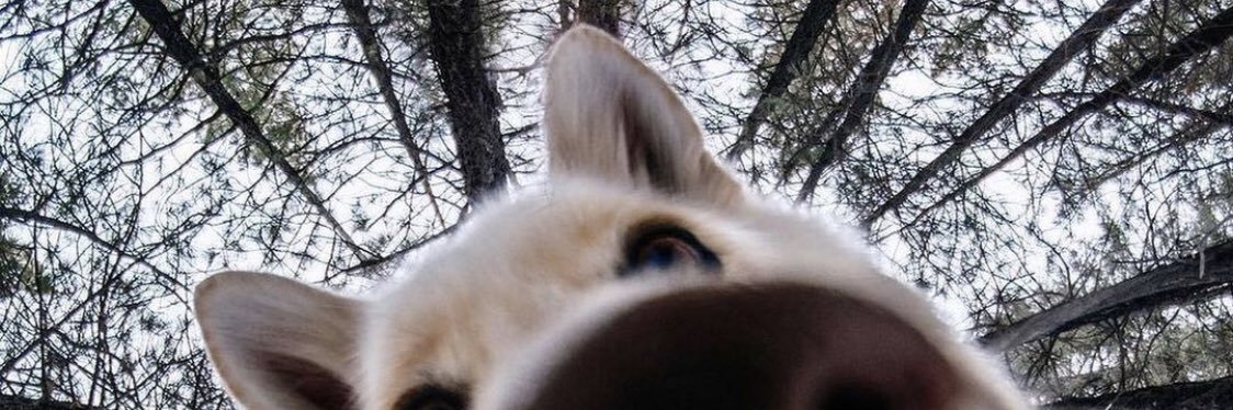 camzlo's profile banner image