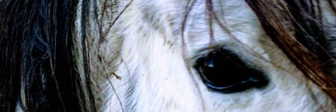 Dlaexplora's profile banner image