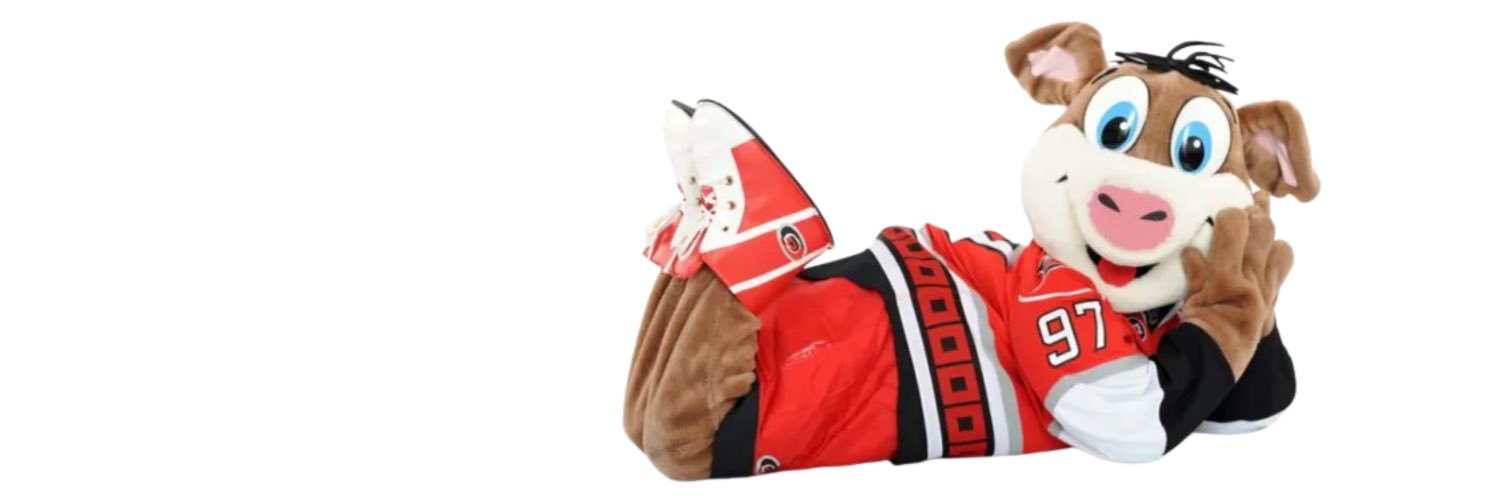 alliewhiz's profile banner image