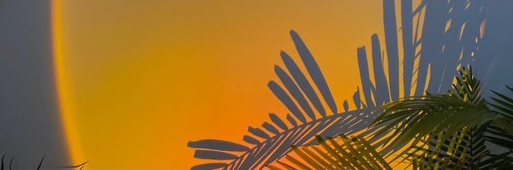 iisilcelik's profile banner image