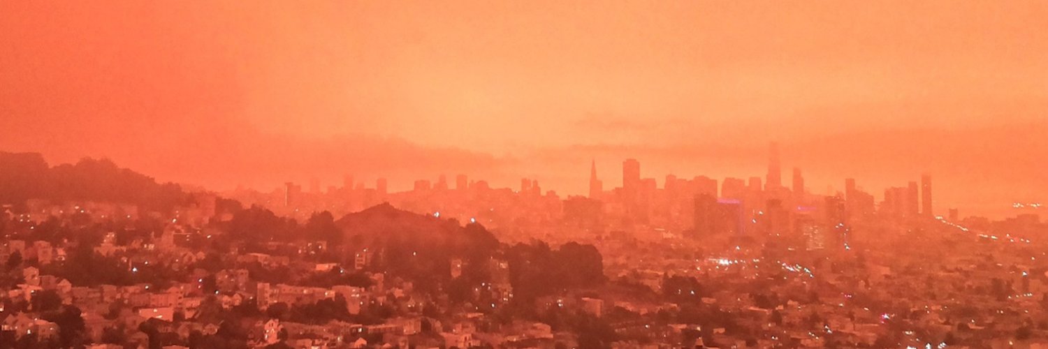 Brad Hochberg banner