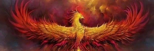 AliPeksengul's profile banner image