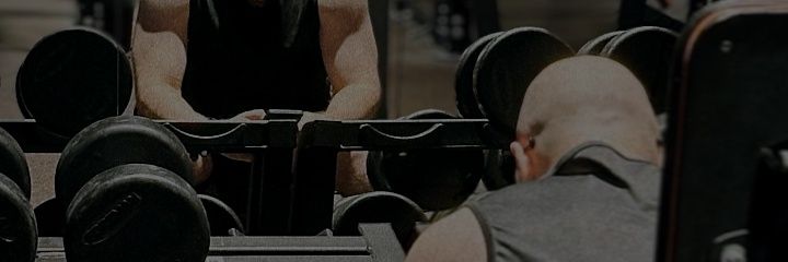 Первая скрипка🍑 banner