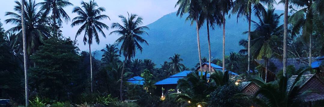 Aleksandra Melnikova banner