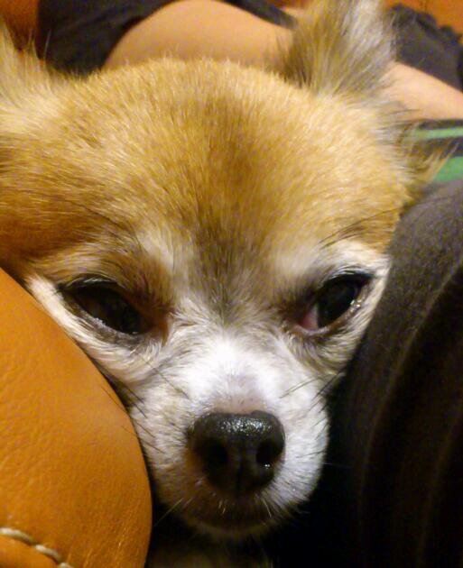 0679Kazuo's profile banner image