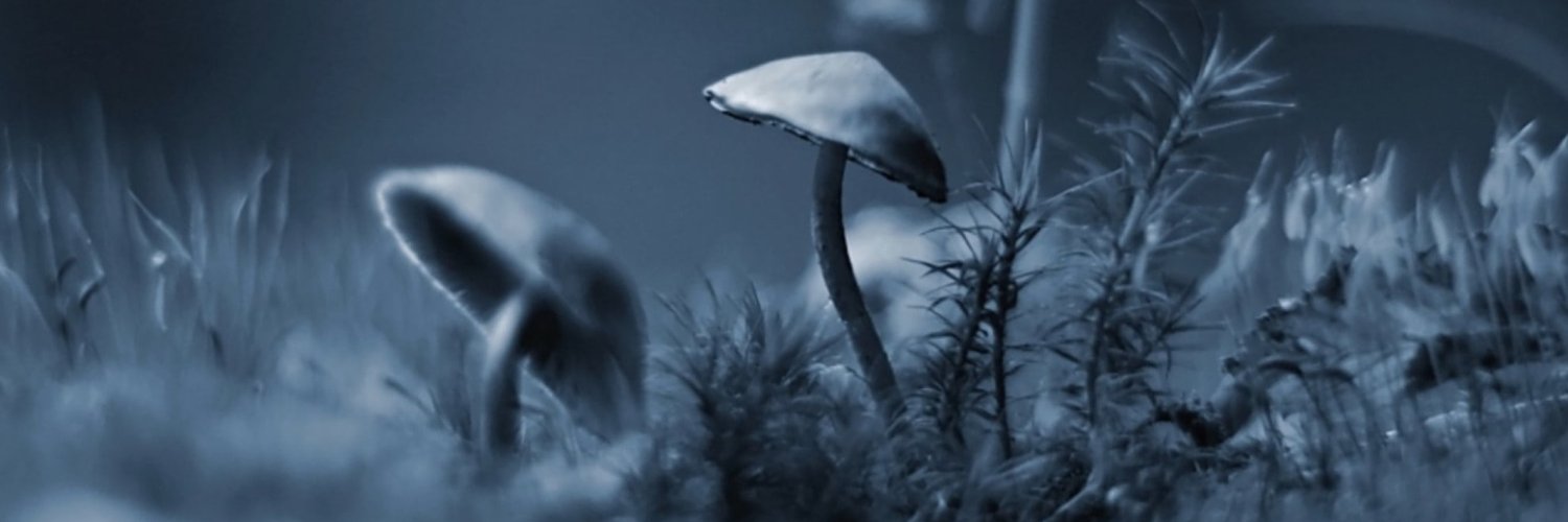 finesthm's profile banner image