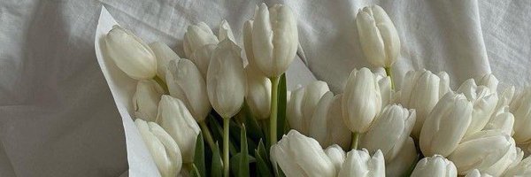 sonfecianalik Profile Banner