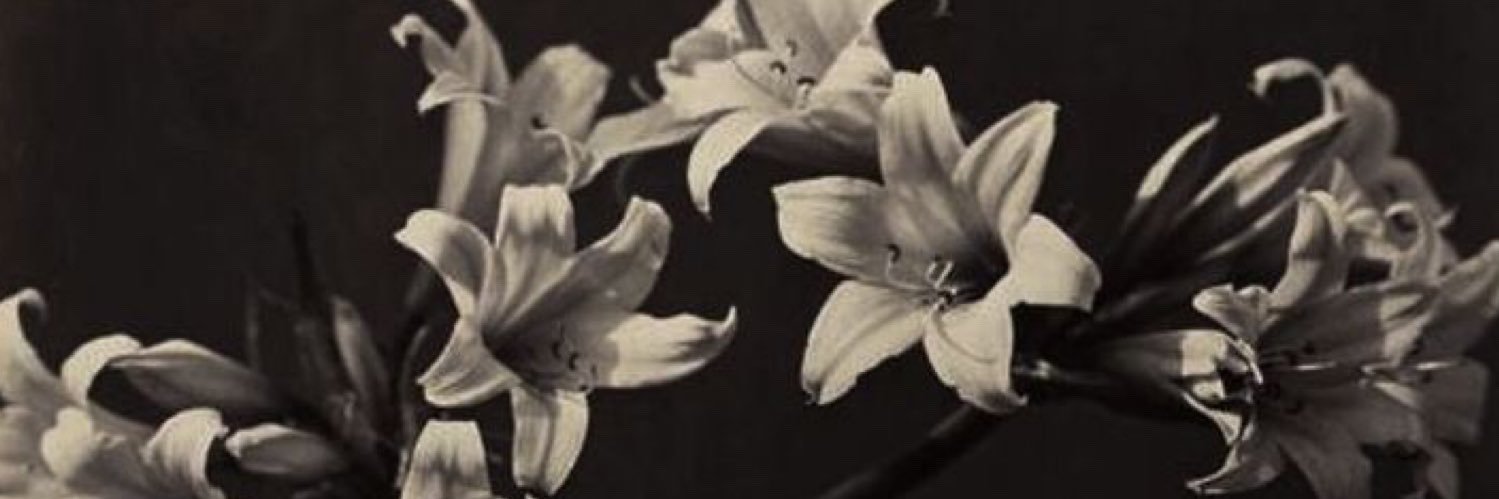 ❤️‍🔥 ⛓️𝓐𝓷𝓷𝓪 banner