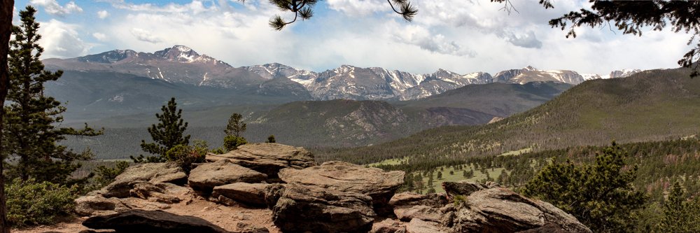 Roger ZenAF 🖕🐸🖕 banner