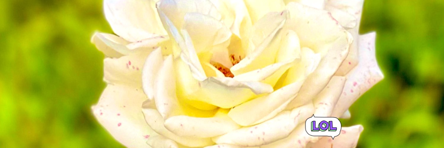 RennyBA's profile banner image
