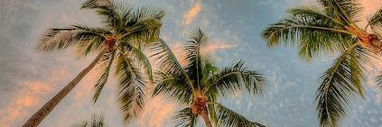 kinhas_sousa's profile banner image