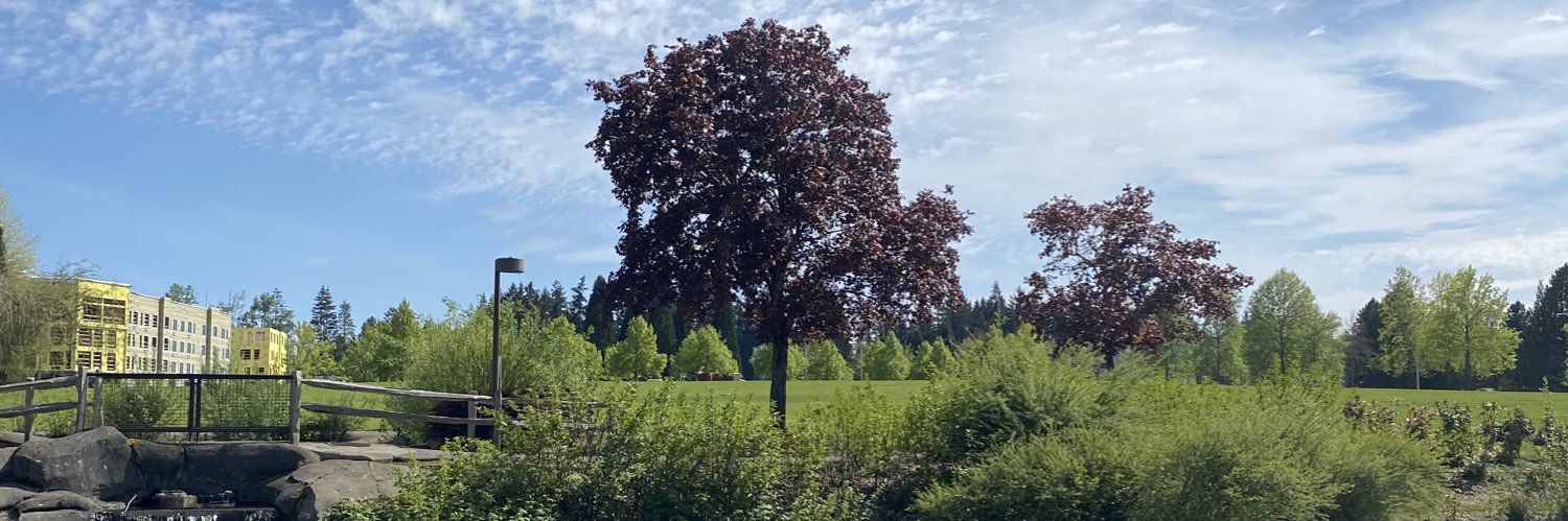 benrosen98's profile banner image