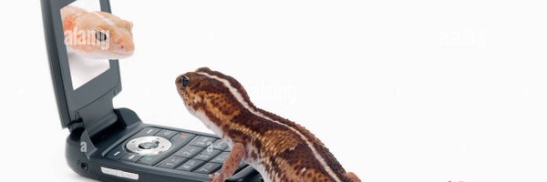 slumberdoq Profile Banner