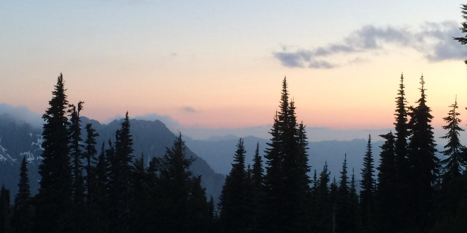 trschin's profile banner image