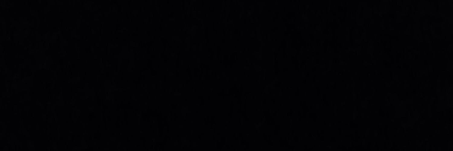 netoosluzek's profile banner image