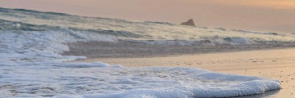 Themandymo Profile Banner
