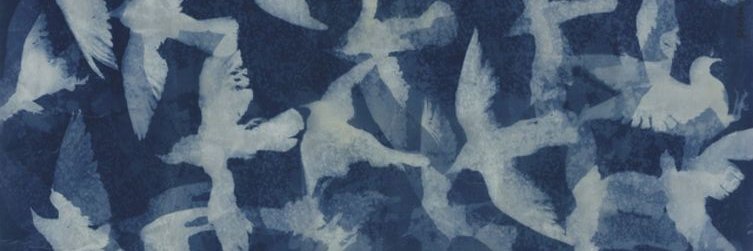 mbfrarara's profile banner image