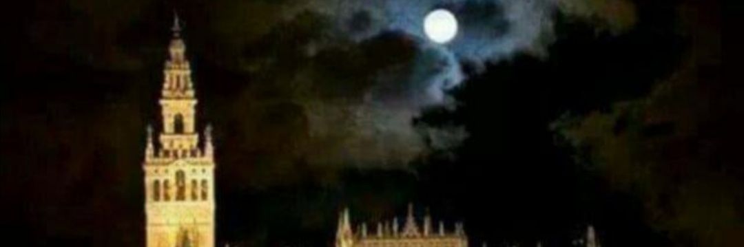 PilarentulineaS's profile banner image