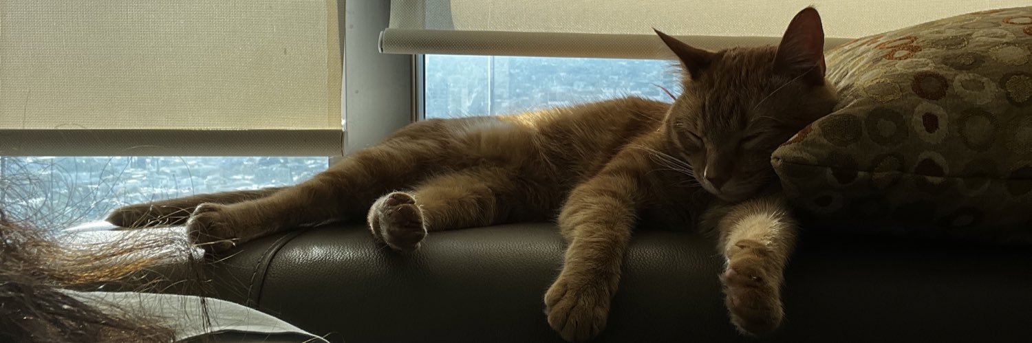 gtzroby's profile banner image