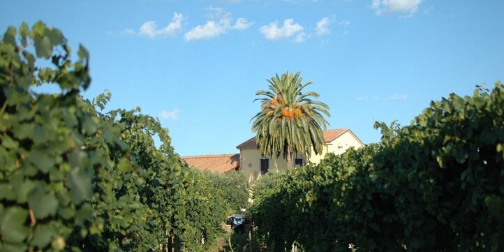 Fontefico's profile banner image