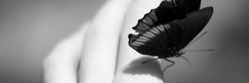 ❣︎ꨄ F ꨄ❣︎'s banner
