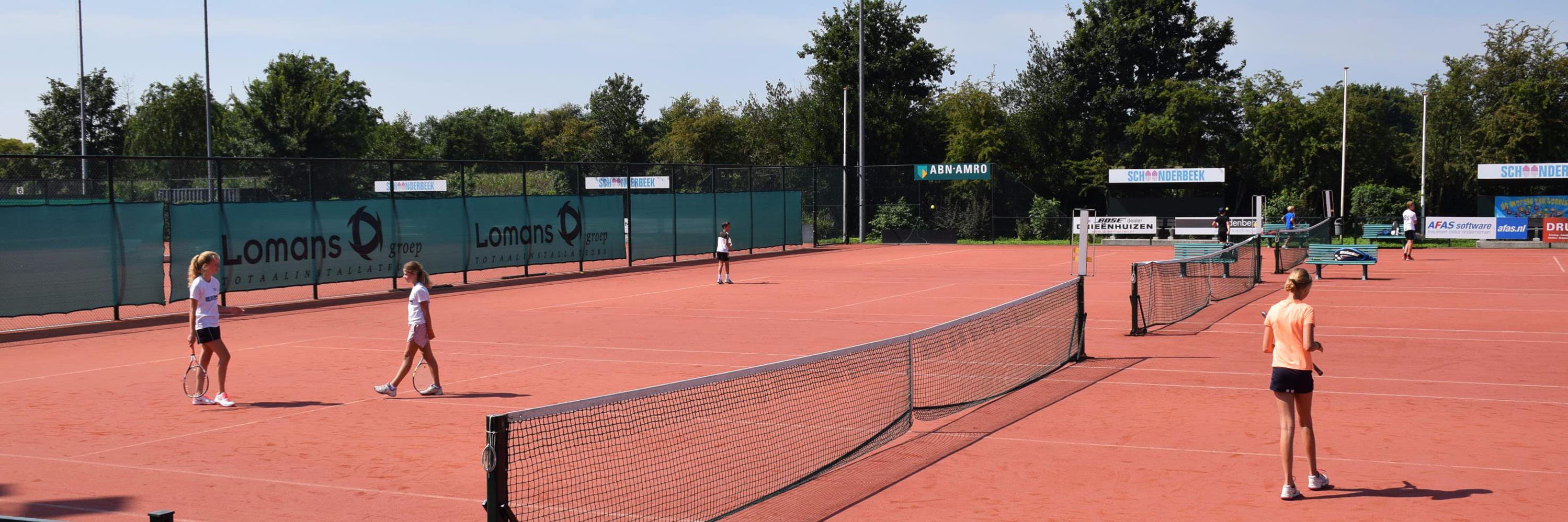 LTV Lockhorst banner