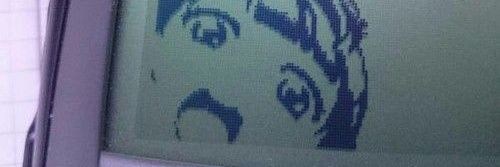 hachi banner