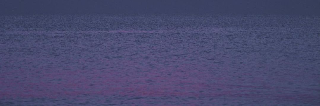 iluvmarijuanaa's profile banner image