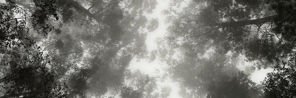 chillvibesurge Profile Banner