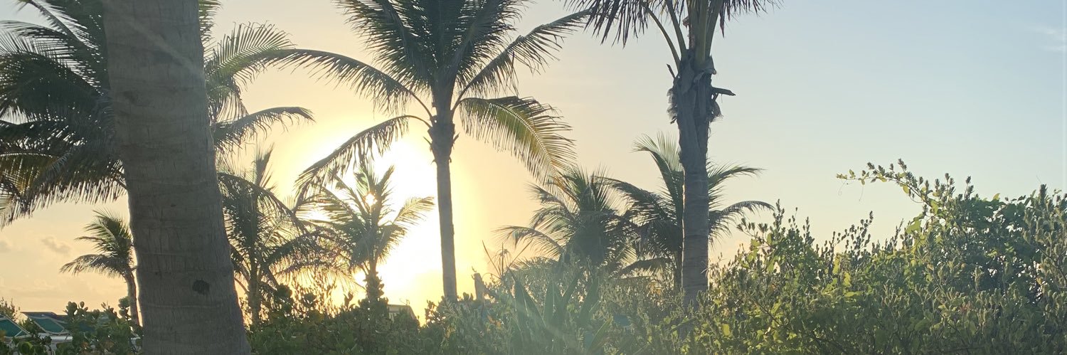 Scensei's profile banner image
