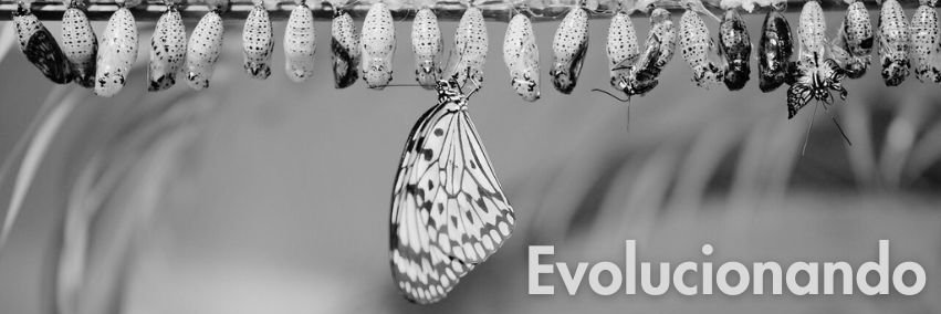 Lys_Bruja's profile banner image