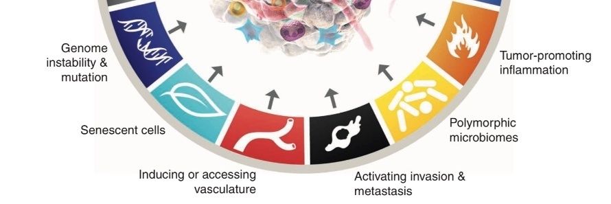 Lisardo Ugidos banner