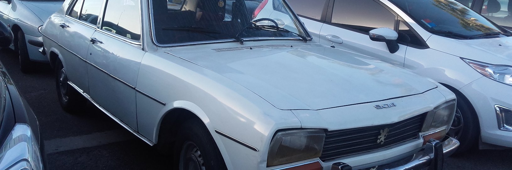 Sergio Sampieri banner