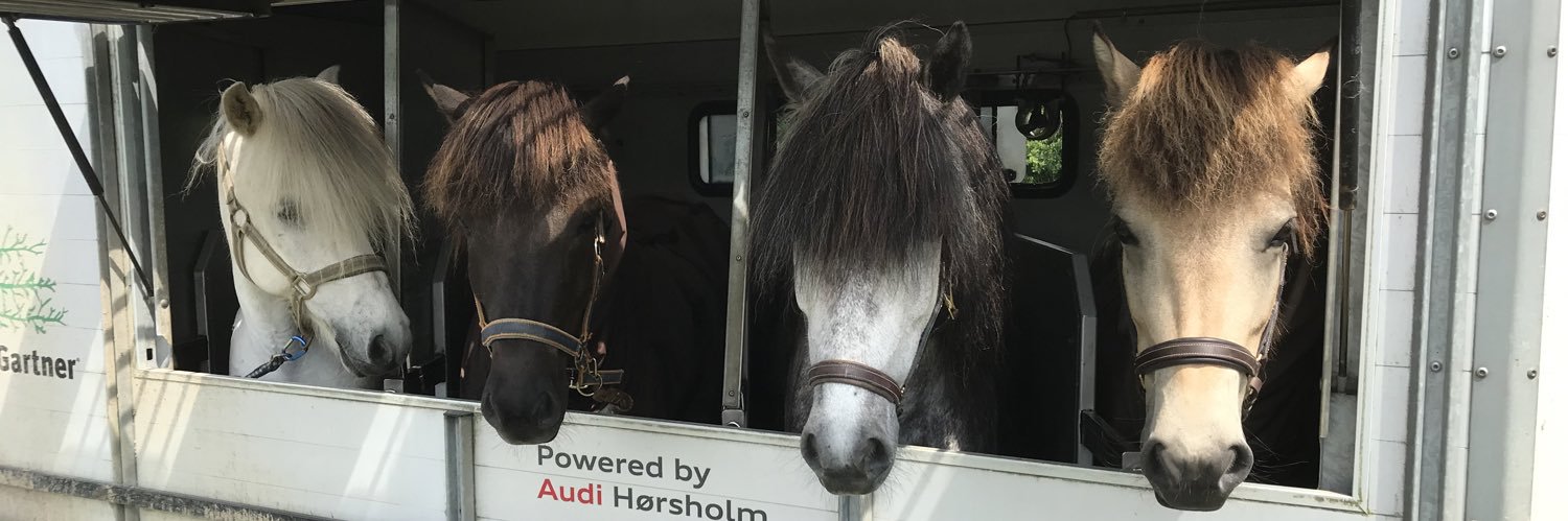 Christian Murschall banner