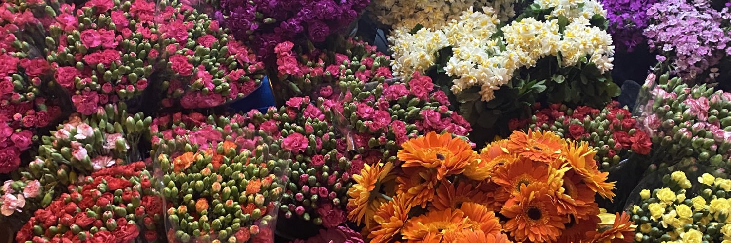 efsaa__'s profile banner image