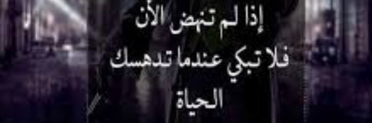nzf_ah's profile banner image