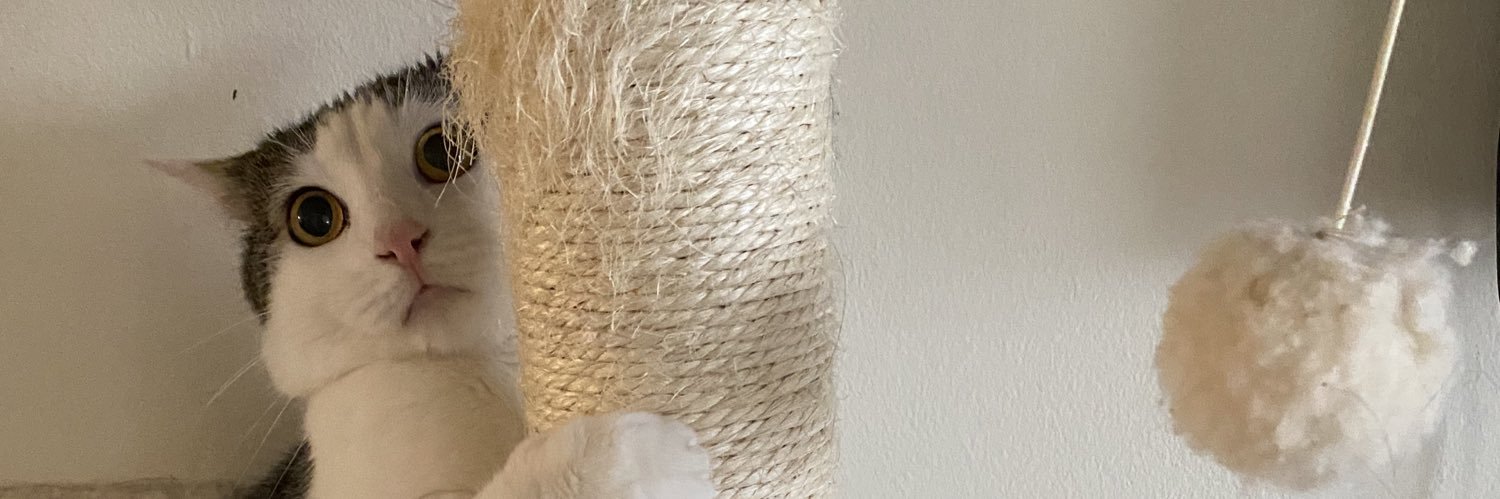 carbgoddess_'s profile banner image
