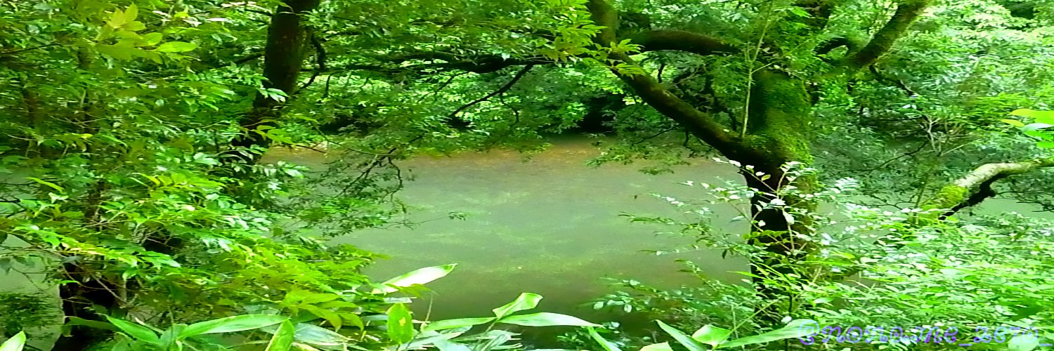 𝒛 𝒆 𝒓 𝒐² ☕ banner