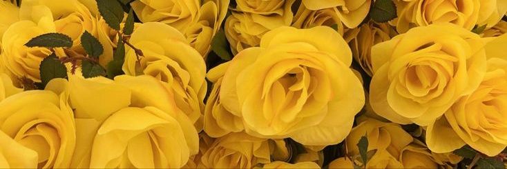 َ banner