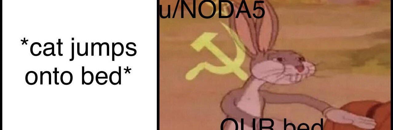 noah 🏳️‍🌈 banner