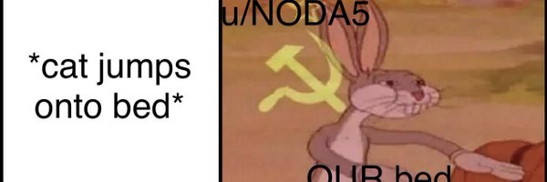 firefoxsimpp Profile Banner