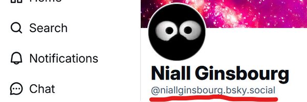 niall_bigscreen Profile Banner