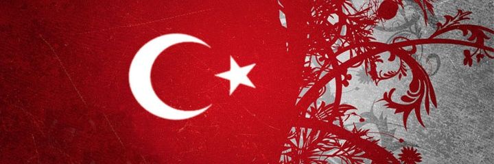 gsaray2000's profile banner image